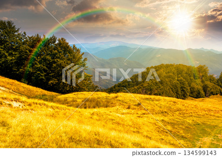 beautiful mountain landscape with beech trees on rolling hills at sunset. wonderful view of alpine countryside scenery in evening light. timeless outdoor adventure nostalgia book cover with rainbow beautiful mountain landscape with beech trees on rolling hills at sunset. wonderful view of alpine countryside scenery in evening light. timeless outdoor adventure nostalgia book cover with rainbow 134599143