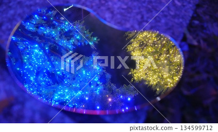 Illumination reflected in the mirror 134599712