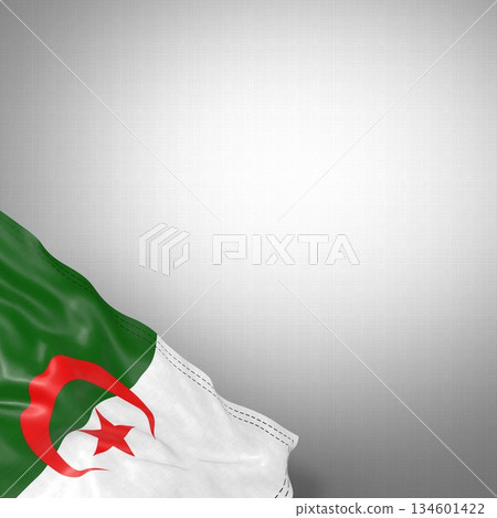Algeria - national flag and gradient background - square format - 3D illustration Algeria - national flag and gradient background - square format - 3D illustration 134601422