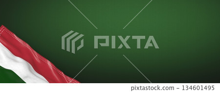 Hungary - national flag and gradient background - horizontal banner format - 3D illustration Hungary - national flag and gradient background - horizontal banner format - 3D illustration 134601495