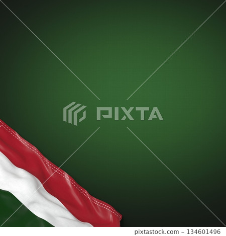 Hungary - national flag and gradient background - square format - 3D illustration Hungary - national flag and gradient background - square format - 3D illustration 134601496