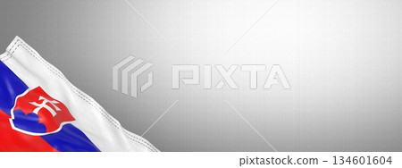 Slovakia - national flag and gradient background - horizontal banner format - 3D illustration Slovakia - national flag and gradient background - horizontal banner format - 3D illustration 134601604
