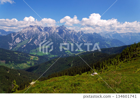 Leogang Mountains Leoganger Steinberge with highest peak Birnhorn, idyllic summer landscape Alps, Zell am See district, Salzburg federal state, Austria Leogang Mountains Leoganger Steinberge with highest peak Birnhorn, idyllic summer landscape Alps, Zell am See district, Salzburg federal state, Austria 134601741