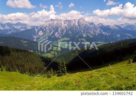 Leogang Mountains Leoganger Steinberge with highest peak Birnhorn, idyllic summer landscape Alps, Zell am See district, Salzburg federal state, Austria 134601742