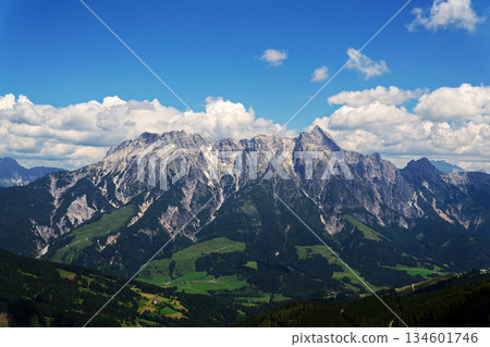 Leogang Mountains Leoganger Steinberge with highest peak Birnhorn, idyllic summer landscape Alps, Zell am See district, Salzburg federal state, Austria 134601746