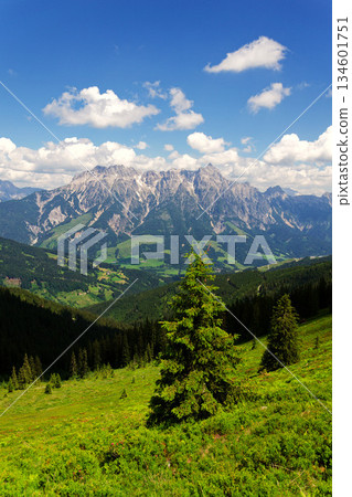 Leogang Mountains Leoganger Steinberge with highest peak Birnhorn, idyllic summer landscape Alps, Zell am See district, Salzburg federal state, Austria 134601751