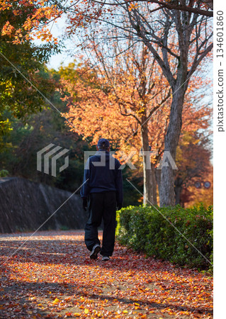 一位老人在秋日的公園慢跑,周圍是落葉。 一位老人在秋日的公園慢跑,周圍是落葉。 134601860