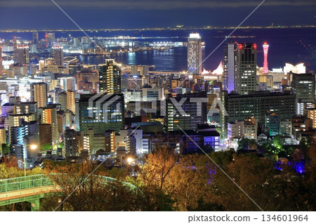[Hyogo Prefecture] Night view of Kobe from Mount Rokko (Venus Bridge) 134601964