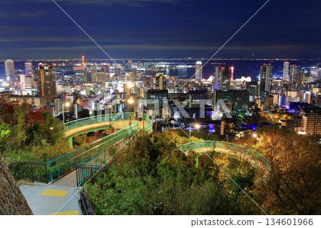 [Hyogo Prefecture] Night view of Kobe from Mount Rokko (Venus Bridge) 134601966