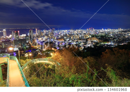 [Hyogo Prefecture] Night view of Kobe from Mount Rokko (Venus Bridge) 134601968