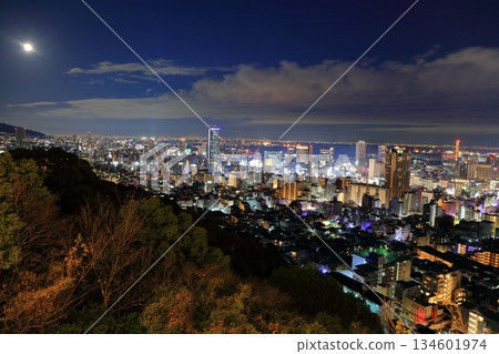 [Hyogo Prefecture] Night view of Kobe from Mount Rokko (Venus Bridge) 134601974