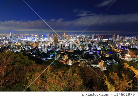 [Hyogo Prefecture] Night view of Kobe from Mount Rokko (Venus Bridge) 134601979