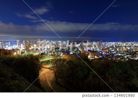 【兵庫縣】從六甲山(金星橋)眺望神戶夜景 【兵庫縣】從六甲山(金星橋)眺望神戶夜景 134601980