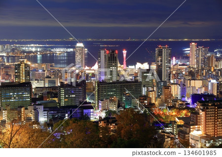 [Hyogo Prefecture] Night view of Kobe from Mount Rokko (Venus Bridge) 134601985