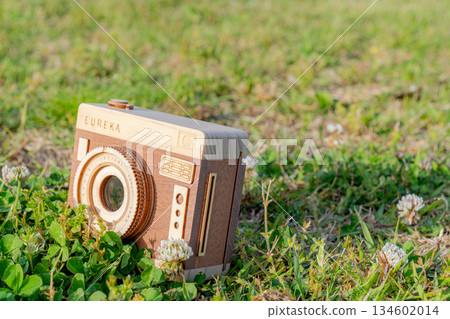木製相機放置在草地上 木製相機放置在草地上 134602014