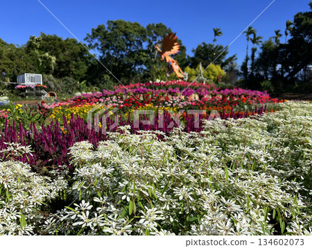 花卉農場的花園裝飾場景 134602073