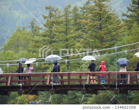 下雨天,遊客們在熱門旅遊景點上高地河童橋上遊覽。 下雨天,遊客們在熱門旅遊景點上高地河童橋上遊覽。 134602109