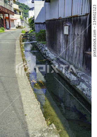 Yame Kuroki: A rural townscape, a street where carp swim, Yame City, Fukuoka Prefecture Yame Kuroki: A rural townscape, a street where carp swim, Yame City, Fukuoka Prefecture 134602123