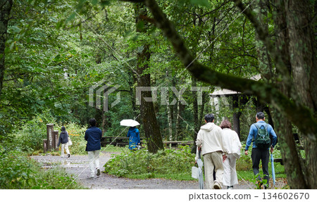 Tourists strolling along a forest trail in Kamikochi, a popular tourist spot, on a rainy day 134602670