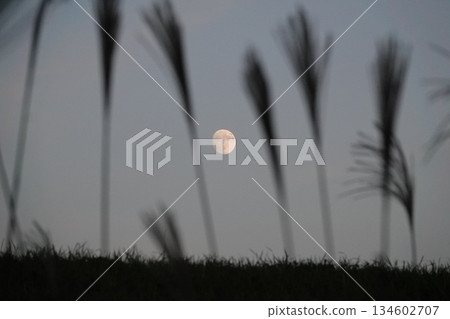 一輪滿月懸掛在草原上 一輪滿月懸掛在草原上 134602707