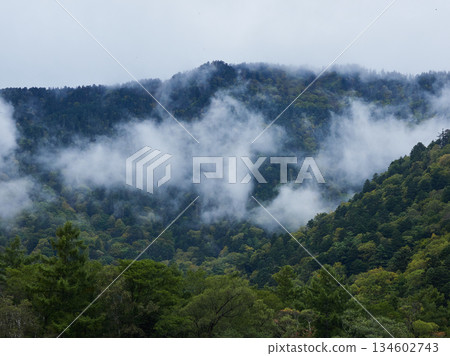 秋季旅遊景點上高地森林和穗高山脈的霧氣繚繞的景色 秋季旅遊景點上高地森林和穗高山脈的霧氣繚繞的景色 134602743