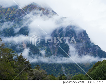 秋季旅遊景點上高地森林和穗高山脈的霧氣繚繞的景色 134602744