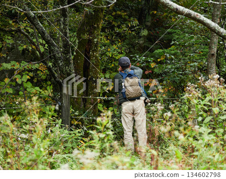 秋季旅遊勝地上高地，遊客熙攘，森林景色迷人。 134602798