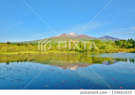 妙高高原的鬱鬱蔥蔥、伊森池和白雪皚皚的妙高山 134602820
