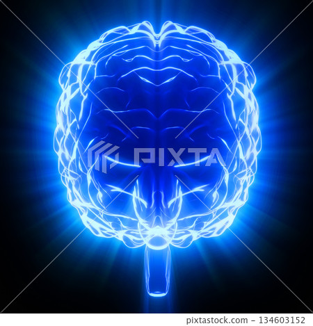 Human brain isolated on black background - 3D illustration Human brain isolated on black background - 3D illustration 134603152