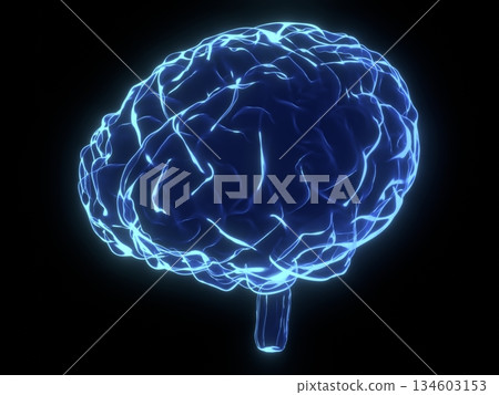 Human brain as x-ray illustration - 3D illustration Human brain as x-ray illustration - 3D illustration 134603153