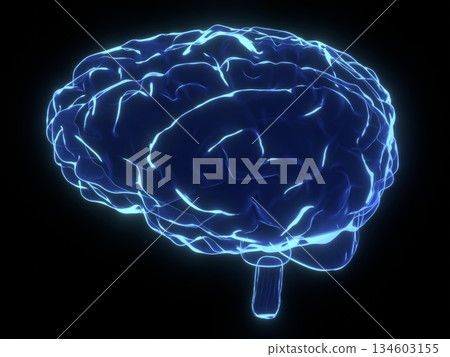 Human brain as x-ray illustration - 3D illustration 134603155