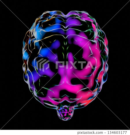 Human brain isolated on black background - 3D illustration 134603177