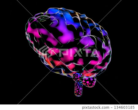 Human brain isolated on black background - 3D illustration 134603185