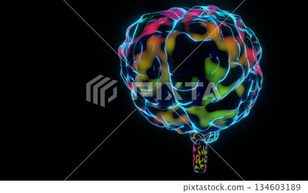 Human brain isolated on black background - 3D illustration 134603189