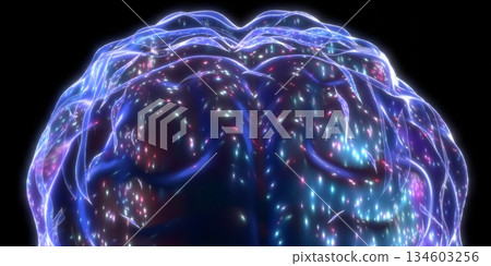 Human brain isolated on black background - 3D illustration Human brain isolated on black background - 3D illustration 134603256
