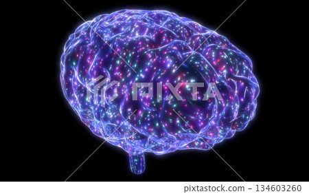 Human brain isolated on black background - 3D illustration 134603260