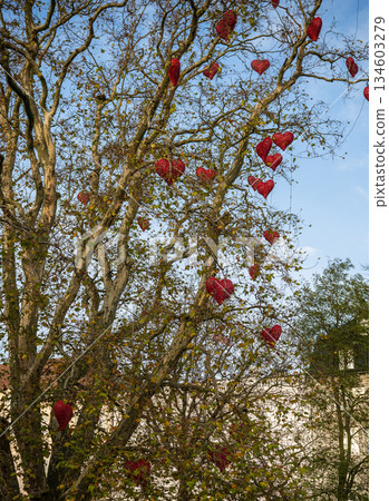 Red heart decorations hanging on tree branches in city park 134603279