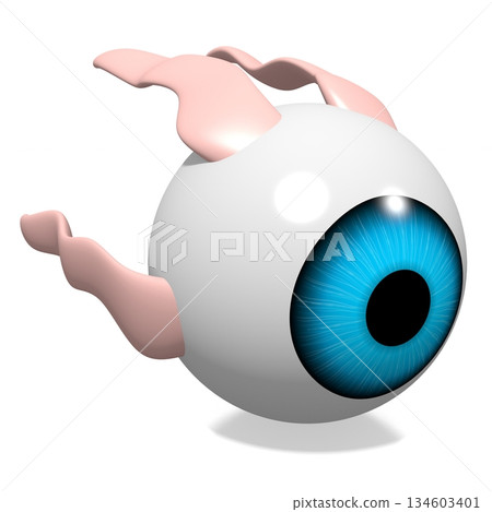 Eyeball with muscles isolated on white background - optometry concept - 3D illustration Eyeball with muscles isolated on white background - optometry concept - 3D illustration 134603401