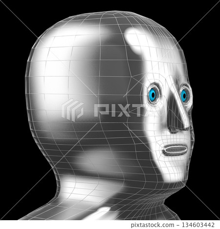 Shiny metal humanoid robot face - 3D illustration 134603442