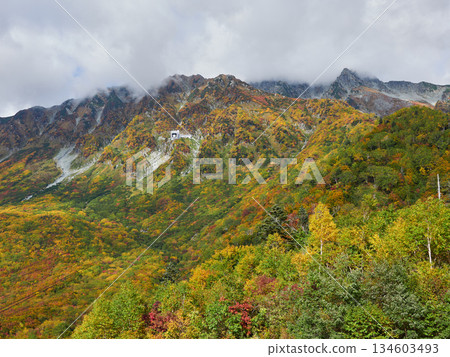 Autumn tourist attraction: Daikanbo Ropeway on the Tateyama Kurobe Alpine Route and vibrant autumn foliage Autumn tourist attraction: Daikanbo Ropeway on the Tateyama Kurobe Alpine Route and vibrant autumn foliage 134603493