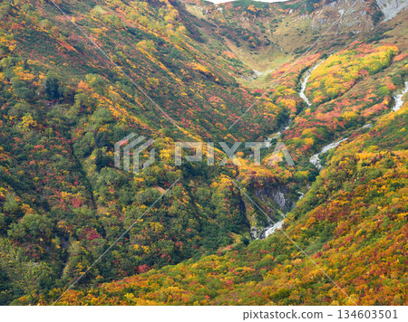 秋季旅遊景點：立山黑部阿爾卑斯山脈路線的山間秋葉景色 134603501