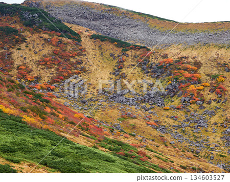 秋季旅遊景點:從立山黑部阿爾卑斯山脈路線眺望室堂嶽山頂峰 秋季旅遊景點:從立山黑部阿爾卑斯山脈路線眺望室堂嶽山頂峰 134603527