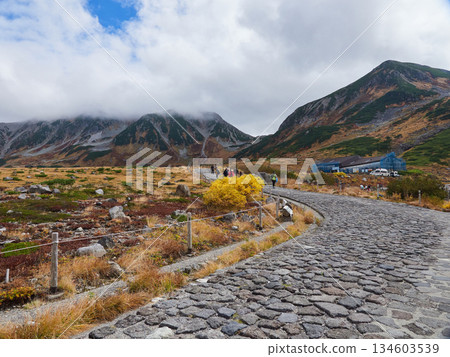 Autumn tourist attraction, Murodo summit on the Tateyama Kurobe Alpine Route, with tourists Autumn tourist attraction, Murodo summit on the Tateyama Kurobe Alpine Route, with tourists 134603539