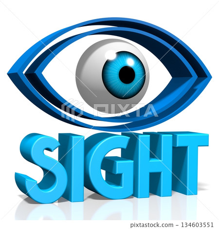 Sight word and eye shape - 3D illustration 134603551