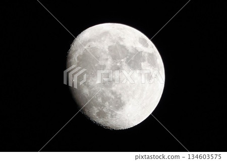 月亮漂浮在月夜的夜空中 月亮漂浮在月夜的夜空中 134603575