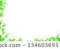 Fresh green frame material 134603693