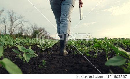 Agriculture, Innovative farming scene, Study of plant growth, Early season seedlings, Woman walking outdoors, Agricultural engineering, Crop technology integration, Assessing plant progress, Digital Agriculture, Innovative farming scene, Study of plant growth, Early season seedlings, Woman walking outdoors, Agricultural engineering, Crop technology integration, Assessing plant progress, Digital 134603867