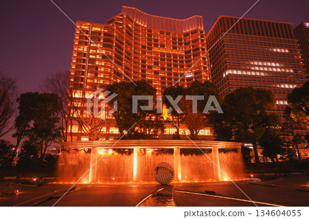 Night view from the Wadakura Gate of the Imperial Palace 134604055