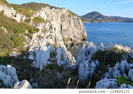 白崎海洋公園 / “日本的愛琴海”和“日本百佳海灘” [和歌山縣由良町] 134604155
