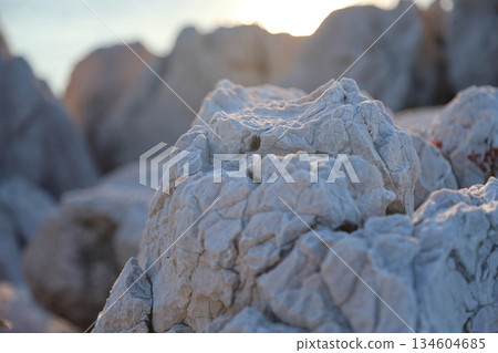 白崎海洋公園 / “日本的愛琴海”和“日本百佳海灘” [和歌山縣由良町] 134604685